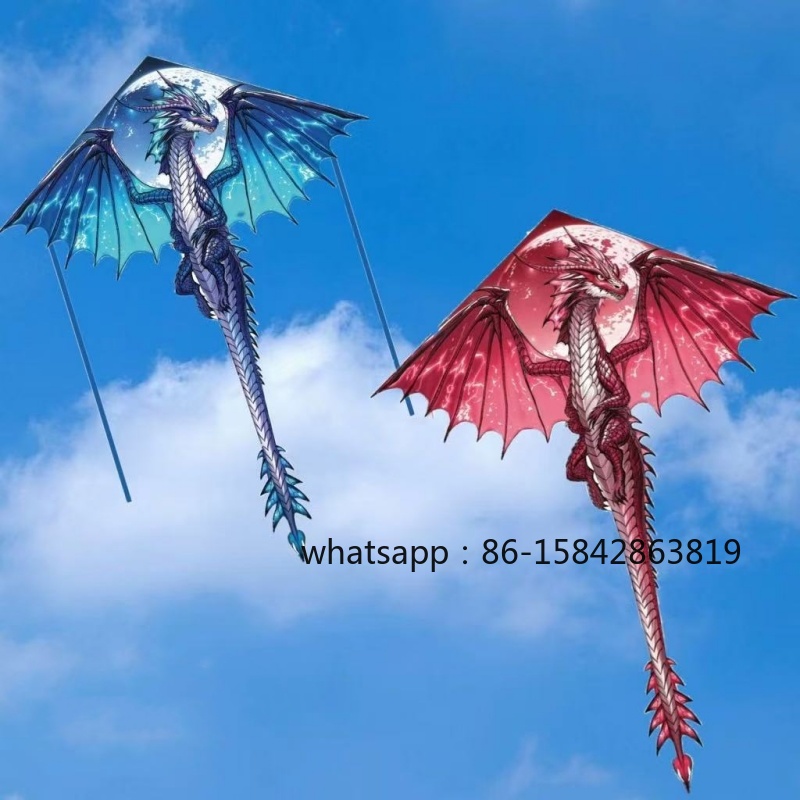 Kite Wind Outdoor - Новые профессиональные воздушные змеи в виде