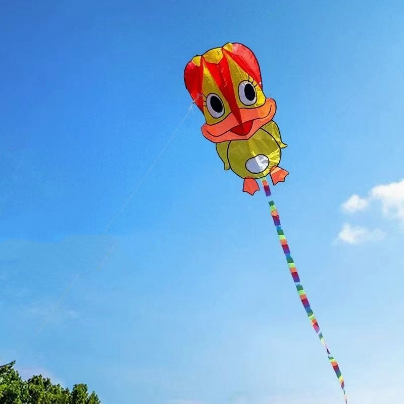 Kite Wind Outdoor - Надувные воздушные змеи: утиные, для взрослых,