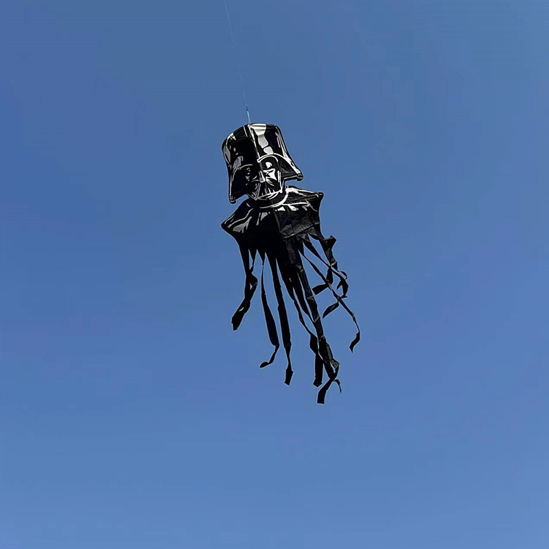 Новый змей, летающий рыцарь, в – обзор и цена Kite Wind Outdoor