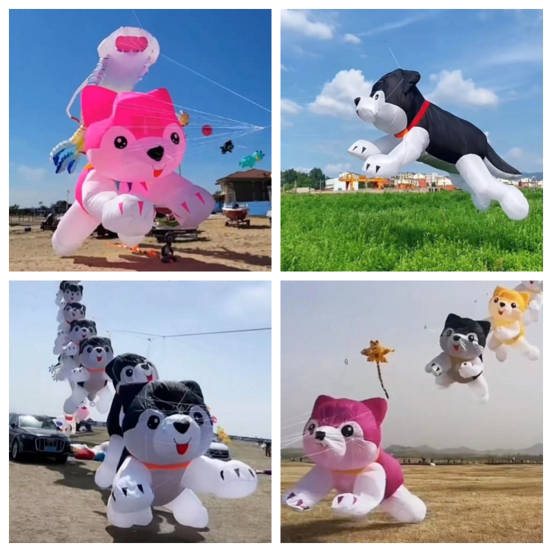 Гигантские воздушные змеи лета – обзор и цена Kite Wind Outdoor
