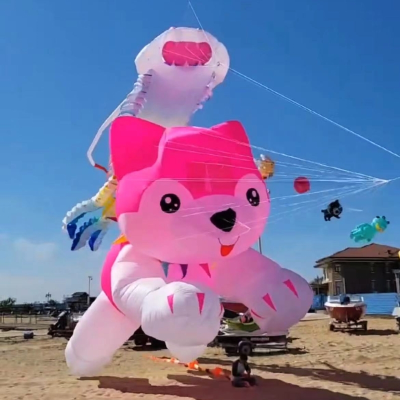 Гигантские воздушные змеи лета – обзор и цена Kite Wind Outdoor