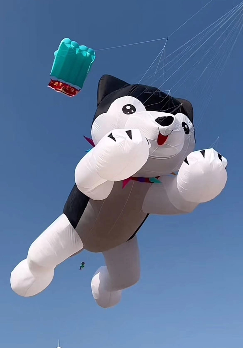 Гигантские воздушные змеи лета – обзор и цена Kite Wind Outdoor