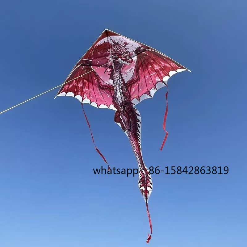 Новые профессиональные воздушн – обзор и цена Kite Wind Outdoor