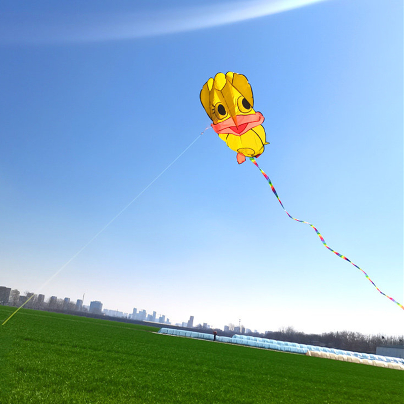 Надувные воздушные змеи: утины – обзор и цена Kite Wind Outdoor
